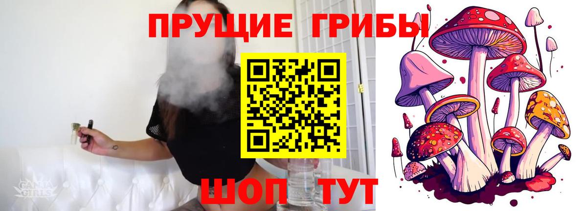 Галлюциногенные грибы Magic Shrooms Иваново